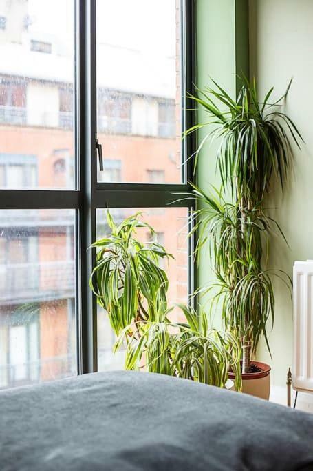 Spacious Belfast City Centre Duplex Apartment Экстерьер фото